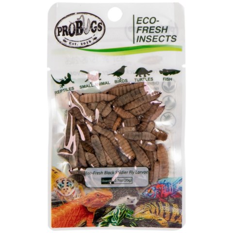 ProBugs Eco-Fresh Black Solider Fly Larvae 15 x 20g - świeże larwy muchy czarnej 15 saszetek ProBugs Eco-Fresh Black Solider Fly Larvae 15 x 20g - świeże larwy muchy czarnej 15 saszetek