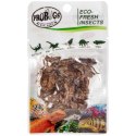 ProBugs Eco-Fresh Cricket 15 x 6g - świeże świerszcze 15 saszetek