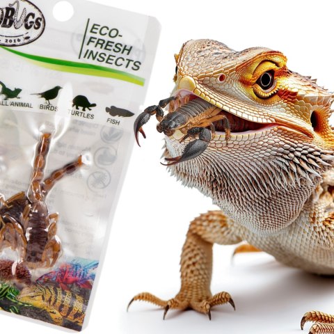 ProBugs Eco-Fresh Scorpion 15 x 3pcs - świeże skorpiony 15 saszetek ProBugs Eco-Fresh Scorpion 15 x 3pcs - świeże skorpiony 15 saszetek