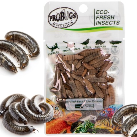 Probugs Crested Gecko Set Plus - kompletna dieta dla gekonów orzęsionych robaki i żel z witaminami Probugs Crested Gecko Set Plus - kompletna dieta dla gekonów orzęsionych robaki i żel z witaminami