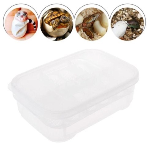 Terrario EggIncubator - inkubator na 12 jaj Terrario EggIncubator - inkubator na 12 jaj