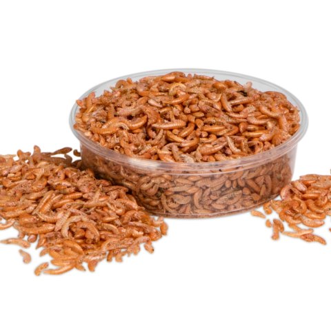 Terrario Repti Bites Gammarus 125ml - kiełż zdrojowy suszony Terrario Repti Bites Gammarus 125ml - kiełż zdrojowy suszony