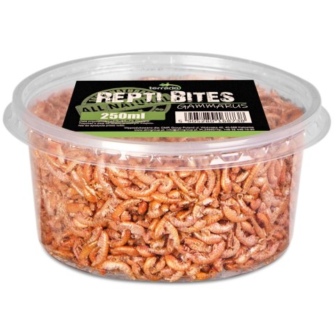Terrario Repti Bites Gammarus 250ml - kiełż zdrojowy suszony Terrario Repti Bites Gammarus 250ml - kiełż zdrojowy suszony