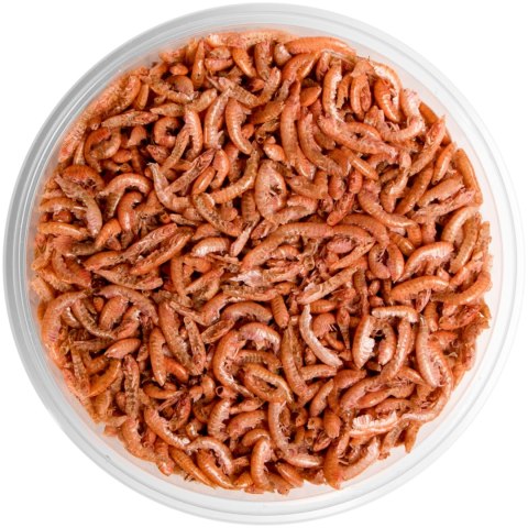 Terrario Repti Bites Gammarus 250ml - kiełż zdrojowy suszony Terrario Repti Bites Gammarus 250ml - kiełż zdrojowy suszony