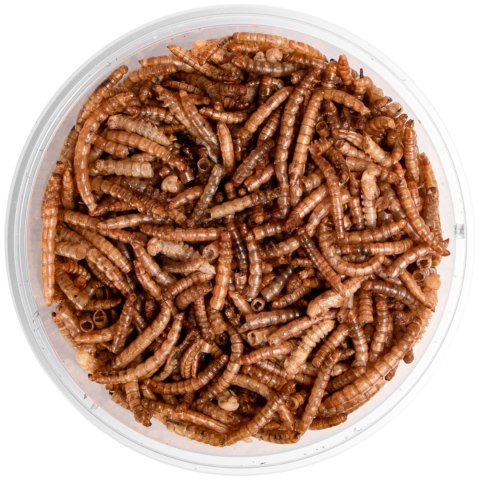 Terrario Repti Bites Mealworms 125ml - larwy mącznika suszone Terrario Repti Bites Mealworms 125ml - larwy mącznika suszone