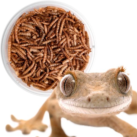 Terrario Repti Bites Mealworms 125ml - larwy mącznika suszone Terrario Repti Bites Mealworms 125ml - larwy mącznika suszone