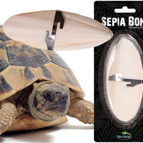 Terrario Sepia Bone - sepia 24 sztuki Terrario Sepia Bone - sepia 24 sztuki