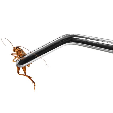 Terrario ViperTweez Bent L - pęseta zagięta 30cm Terrario ViperTweez Bent L - pęseta zagięta 30cm
