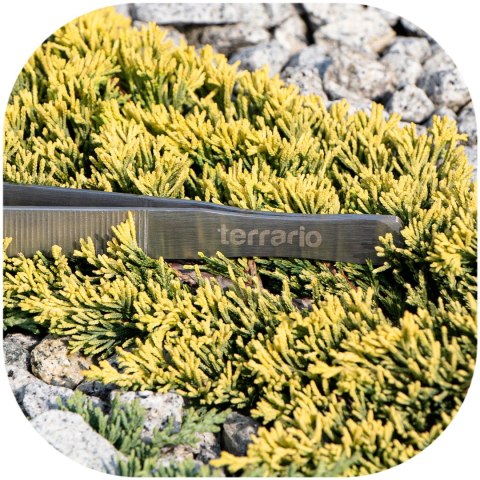 Terrario ViperTweez Bent XXL - pęseta zagięta 48cm Terrario ViperTweez Bent XXL - pęseta zagięta 48cm
