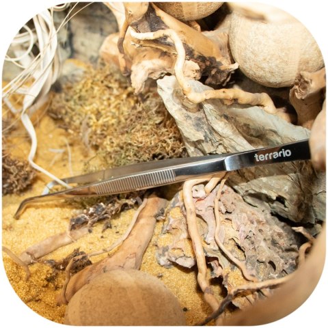 Terrario ViperTweez Bent M - pęseta zagięta 25cm Terrario ViperTweez Bent M - pęseta zagięta 25cm