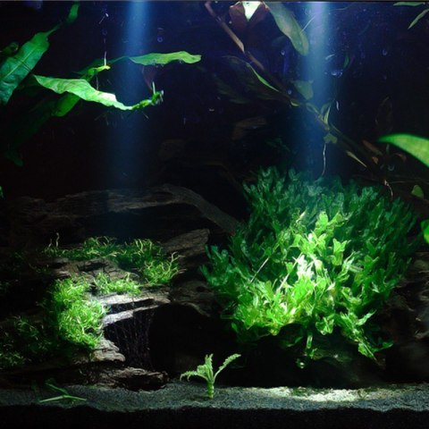 Jebao EL1-3 - trzy punktowe lampy LED wodoodporne Jebao EL1-3 - trzy punktowe lampy LED wodoodporne