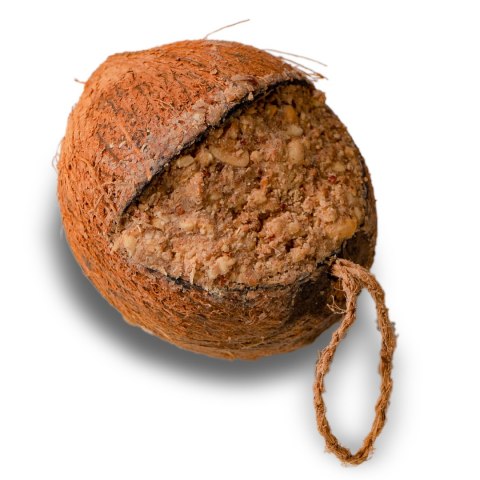 Gami Kokos tłuszczowy cały 0.5kg - pokarm dla ptaków dzikich Gami Kokos tłuszczowy cały 0.5kg - pokarm dla ptaków dzikich