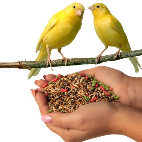 Gami karma dla kanarka 500g Gami karma dla kanarka 500g