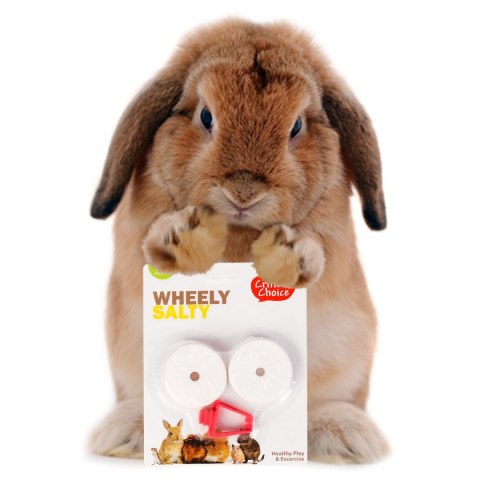 HappyPet Wheely Salty - sól z uchwytem dla gryzoni HappyPet Wheely Salty - sól z uchwytem dla gryzoni