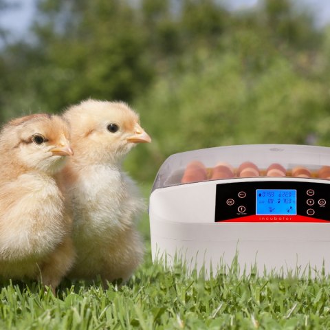 Kruger Meier ProEggora 56 Auto - inkubator z termostatem na 56 jaj Kruger Meier ProEggora 56 Auto - inkubator z termostatem na 56 jaj