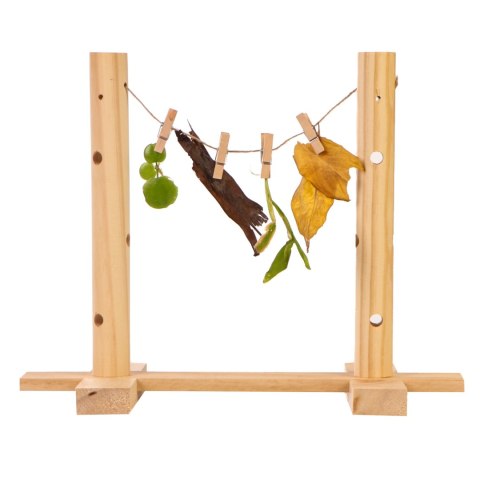 Nature First Peg 'n' Snack Line - stojak na przekąski Nature First Peg 'n' Snack Line - stojak na przekąski