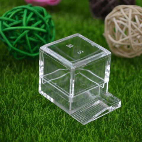 Ant Expert Ant Feeder - karmnik dla mrówek Ant Expert Ant Feeder - karmnik dla mrówek