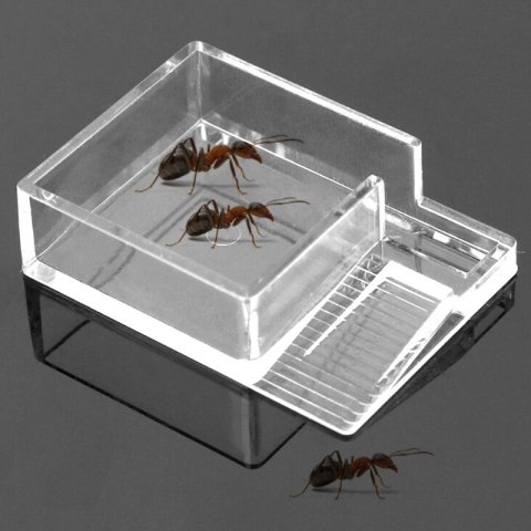 Ant Expert Ant Feeder - karmnik dla mrówek Ant Expert Ant Feeder - karmnik dla mrówek