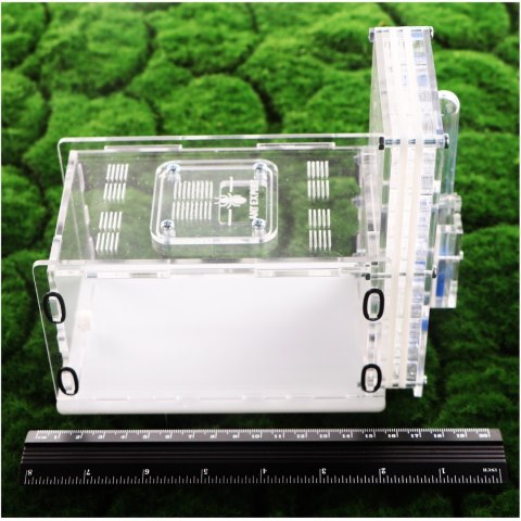 Ant Expert Deep Mine - formikarium akrylowe profesjonalne Ant Expert Deep Mine - formikarium akrylowe profesjonalne