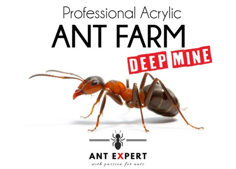 Ant Expert Deep Mine - formikarium akrylowe profesjonalne Ant Expert Deep Mine - formikarium akrylowe profesjonalne