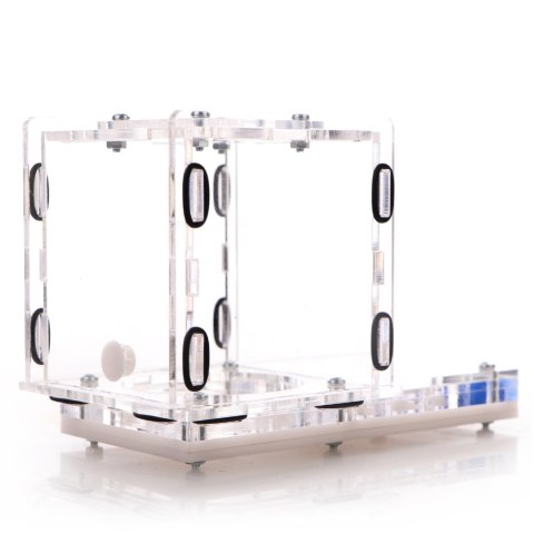Ant Expert King's Valley - formikarium akrylowe profesjonalne Ant Expert King's Valley - formikarium akrylowe profesjonalne