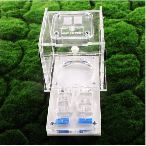Ant Expert King's Valley - formikarium akrylowe profesjonalne Ant Expert King's Valley - formikarium akrylowe profesjonalne