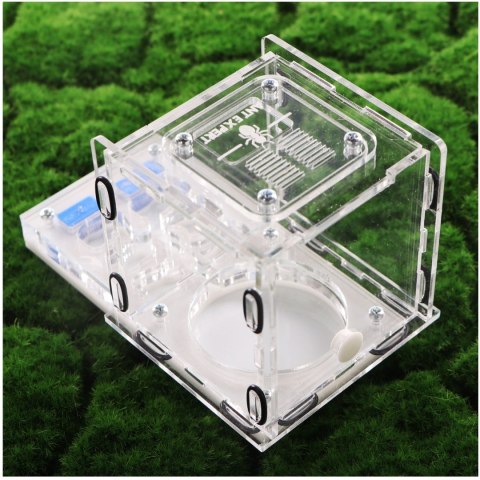 Ant Expert King's Valley - formikarium akrylowe profesjonalne Ant Expert King's Valley - formikarium akrylowe profesjonalne