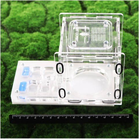 Ant Expert King's Valley - formikarium akrylowe profesjonalne Ant Expert King's Valley - formikarium akrylowe profesjonalne