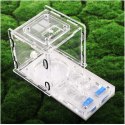 Ant Expert King's Valley - formikarium akrylowe profesjonalne