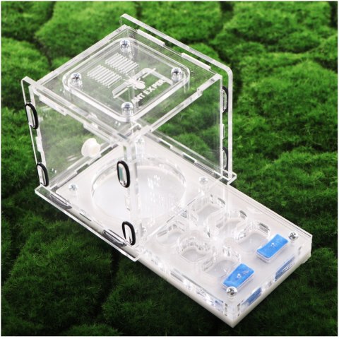 Ant Expert King's Valley - formikarium akrylowe profesjonalne Ant Expert King's Valley - formikarium akrylowe profesjonalne