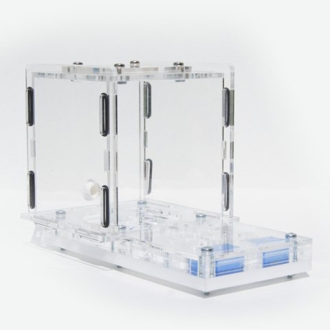 Ant Expert King's Valley - formikarium akrylowe profesjonalne Ant Expert King's Valley - formikarium akrylowe profesjonalne