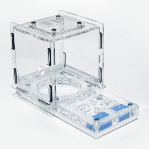 Ant Expert King's Valley - formikarium akrylowe profesjonalne Ant Expert King's Valley - formikarium akrylowe profesjonalne