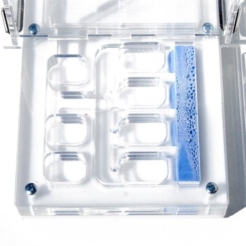 Ant Expert Lost Tunnels - formikarium akrylowe profesjonalne Ant Expert Lost Tunnels - formikarium akrylowe profesjonalne