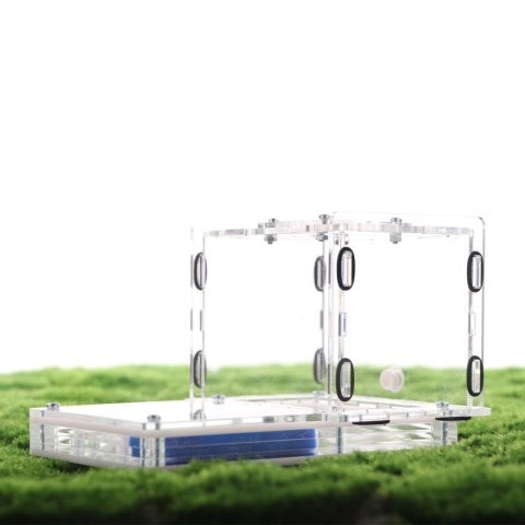 Ant Expert Lost Tunnels - formikarium akrylowe profesjonalne Ant Expert Lost Tunnels - formikarium akrylowe profesjonalne