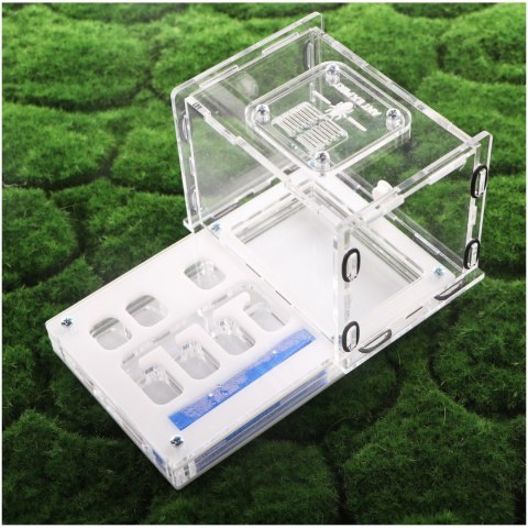 Ant Expert Lost Tunnels - formikarium akrylowe profesjonalne Ant Expert Lost Tunnels - formikarium akrylowe profesjonalne