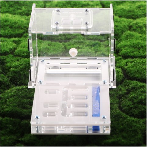 Ant Expert Lost Tunnels - formikarium akrylowe profesjonalne Ant Expert Lost Tunnels - formikarium akrylowe profesjonalne