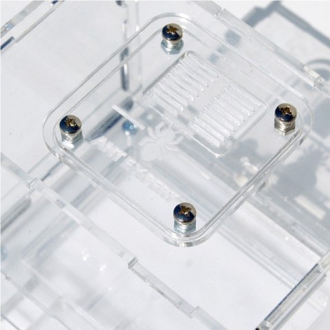 Ant Expert Lost Tunnels - formikarium akrylowe profesjonalne Ant Expert Lost Tunnels - formikarium akrylowe profesjonalne