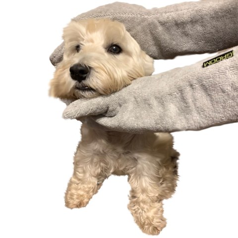 Groom Rub Down Mitts - rękawiczki do suszenia psa Groom Rub Down Mitts - rękawiczki do suszenia psa