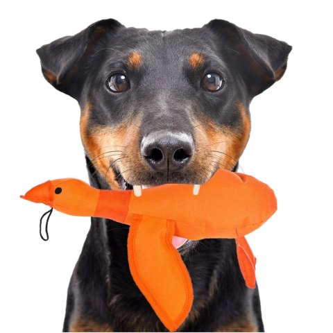 HappyPet Dazzle Ducks - piszcząca kaczka HappyPet Dazzle Ducks - piszcząca kaczka