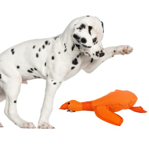 HappyPet Dazzle Ducks - piszcząca kaczka HappyPet Dazzle Ducks - piszcząca kaczka
