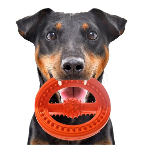 HappyPet Frame Ball - gumowa piłka HappyPet Frame Ball - gumowa piłka