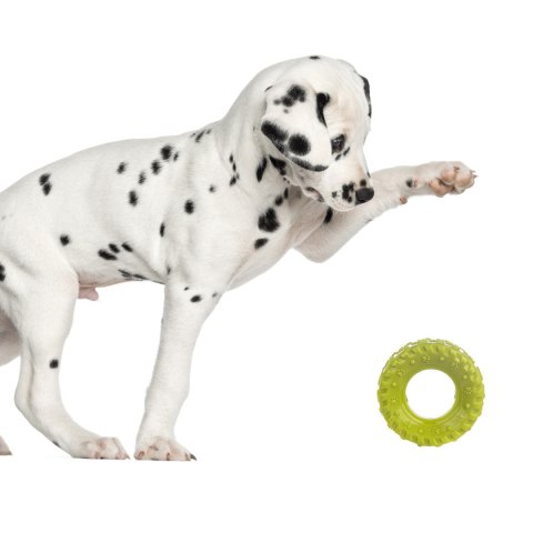 HappyPet Grrrelli Tyre S - gumowy gryzak HappyPet Grrrelli Tyre S - gumowy gryzak