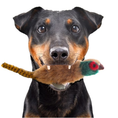 HappyPet Migrator Pheasant - maskotka bażant HappyPet Migrator Pheasant - maskotka bażant