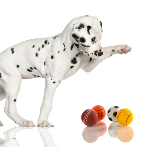 HappyPet Sports Balls - sprężysta piłka HappyPet Sports Balls - sprężysta piłka