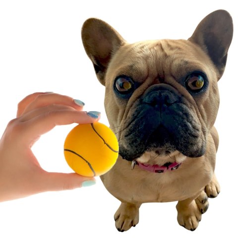 HappyPet Sports Balls - sprężysta piłka HappyPet Sports Balls - sprężysta piłka