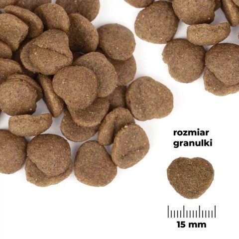 Comfy Appetit Vita Superfood Buffalo 12kg - Karma dla dorosłych psów Comfy Appetit Vita Superfood Buffalo 12kg - Karma dla dorosłych psów