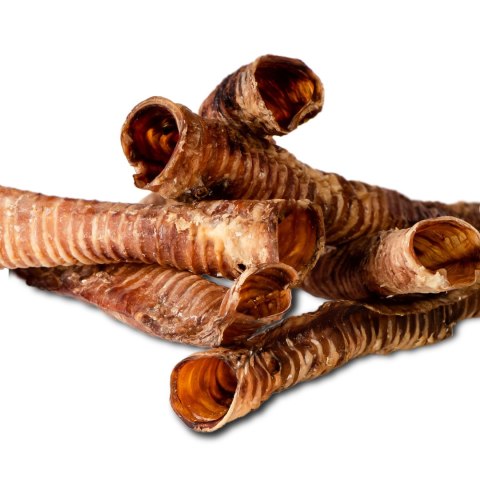 Dogario Bonni Beef Throat XL - chrupki gryzak 30cm - 40cm Dogario Bonni Beef Throat XL - chrupki gryzak 30cm - 40cm