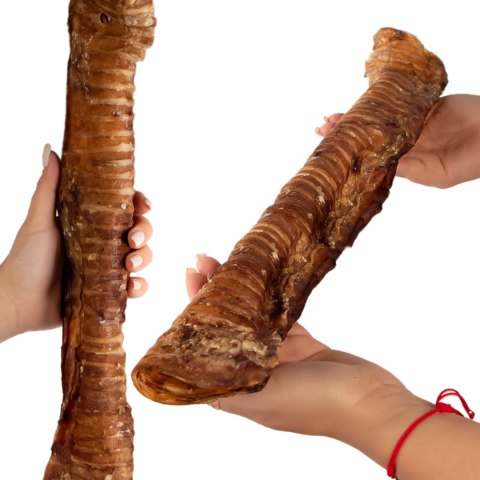 Dogario Bonni Beef Throat XL - chrupki gryzak 30cm - 40cm Dogario Bonni Beef Throat XL - chrupki gryzak 30cm - 40cm