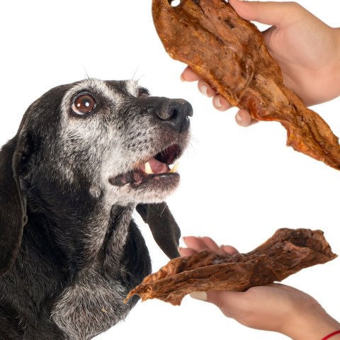 Dogario Bonni Milk Meat - mięso wołowe miękkie Dogario Bonni Milk Meat - mięso wołowe miękkie
