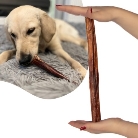 Dogario Bonni Penis Long - twardy przysmak dla psów 30cm Dogario Bonni Penis Long - twardy przysmak dla psów 30cm